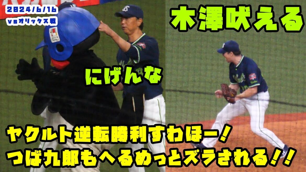 ヤクルト逆転勝利すわほー!つば九郎もへるめっとズラされる!! 2024/6/16 vsオリックス ヤクルト逆転勝利すわほー!つば九郎もへるめっとズラされる!! 2024/6/16 vsオリックス