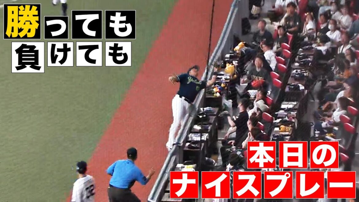 【勝っても】本日のナイスプレー セ・リーグにやられた編【負けても】(2024年6月16日) 【勝っても】本日のナイスプレー セ・リーグにやられた編【負けても】(2024年6月16日)