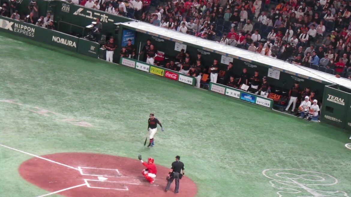 観客がファールフライを捕ってしまい何してんねんって感じのベンチのバルドナードの様子とその松原聖弥の打席を最後まで＜読売ジャイアンツ 対 広島カープ 2024年4月13日＞