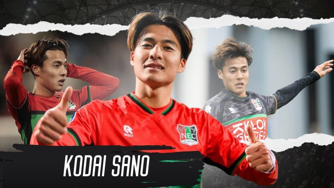 Kodai Sano (佐野 航大) ▶ Skills, Goals & Highlights 2023/2024ᴴᴰ