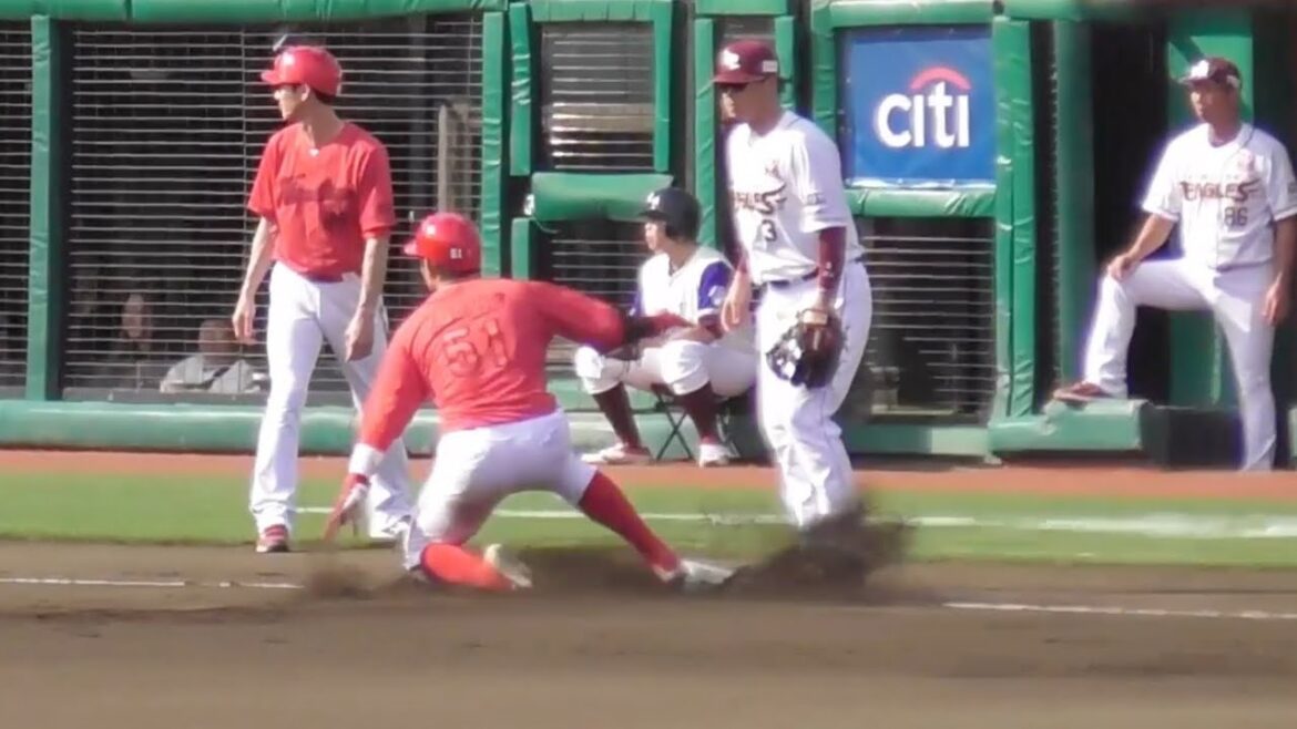 これぞカープの機動力！今日は小園海斗が3盗を決める！2024年6月15日