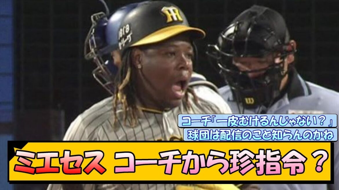 【阪神】ミエセス コーチから珍指令?【なんJ/2ch/5ch/ネット 反応 まとめ/阪神タイガース/岡田監督】 【阪神】ミエセス コーチから珍指令?【なんJ/2ch/5ch/ネット 反応 まとめ/阪神タイガース/岡田監督】