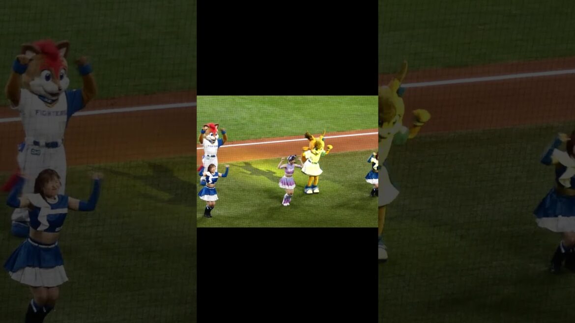 【20240612】#Whatchagonna do?＃チアドラゴンズ＃ファイターズガール