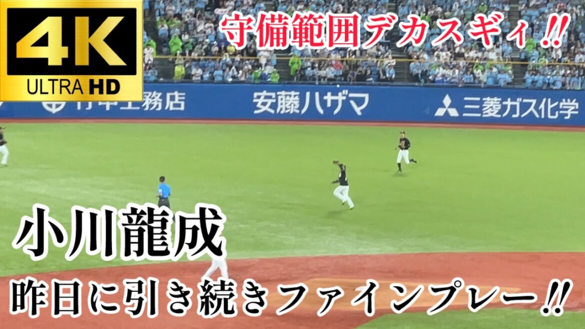 【昨日に引き続き守備が光る】小川龍成 セカンド(ほぼライト)後方のフライを取るファインプレー‼︎ 千葉ロッテマリーンズ 東京ヤクルトスワローズ プロ野球 2024.5/30