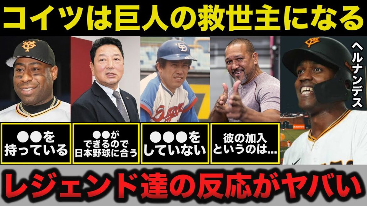巨人ヘルナンデスに対するレジェンド達の反応がヤバい「●●できるので日本野球に合う」【プロ野球】