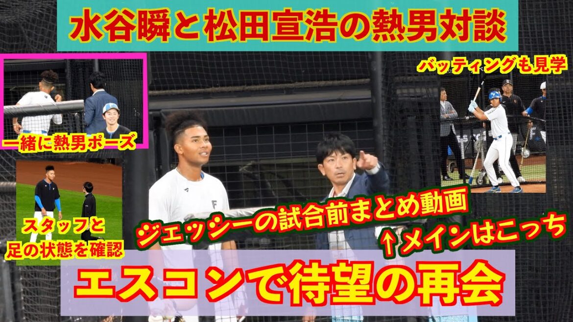 【20240616】松田宣浩と再会する水谷瞬の熱男対談（大袈裟）ジェッシーの試合前練習まとめ動画
