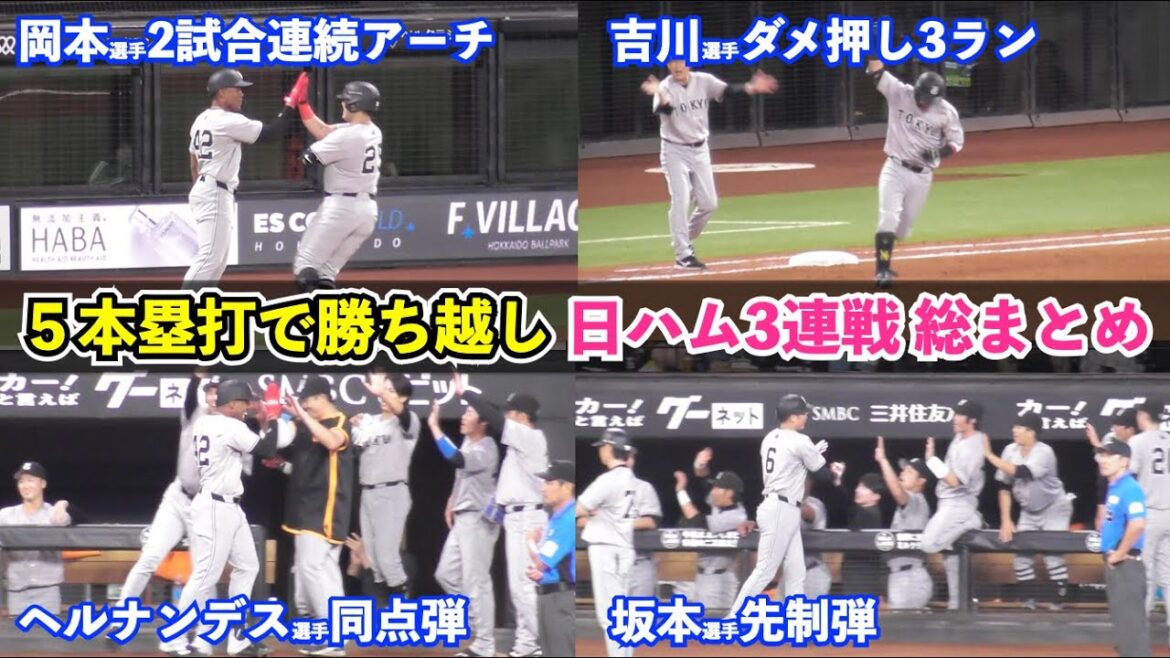 巨人北の大地で躍動！岡本選手,完全復活の2本塁打！すでに圧倒的存在感のへルナンデス選手は同点弾含む5安打！手に汗握る交流戦最後の3連戦総まとめ！
