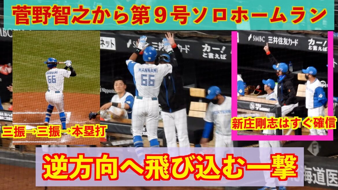 【20240616】万波中正が菅野智之から第９号ソロホームラン！！