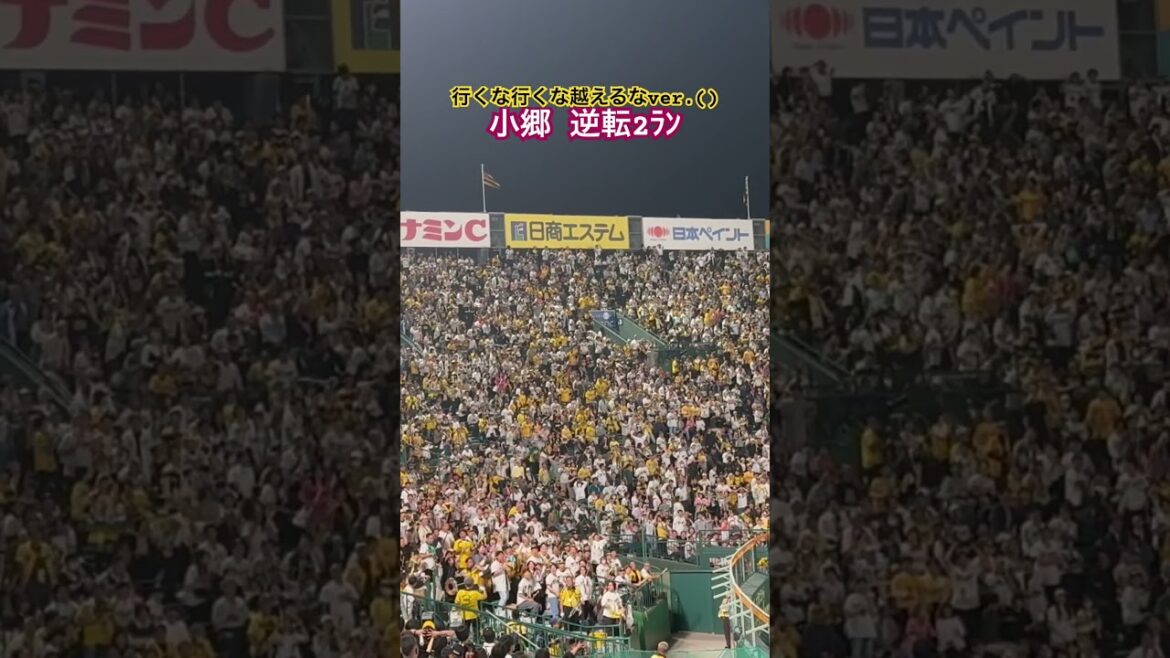 #阪神タイガース #小郷裕哉 #岩崎優 #名実況#迷実況#角中勝也 #小深田大翔 #湯浅京己 #呉昇桓#逆転ホームラン #最終回 #岡田彰布