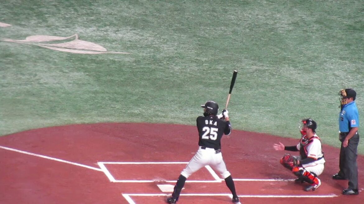 【マリーンズ】岡大海の打撃フォーム〜2024年6月4日 交流戦 #千葉ロッテ