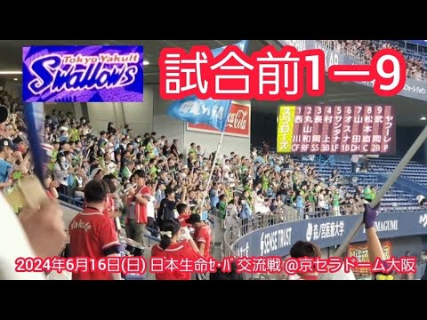 20240616 交流戦ラスト!東京ヤクルトスワローズの試合前1-9応援歌メドレー 鳴り物・声出し応援1-9【大迫力】@京セラドーム大阪・レフト外野下段 日本生命セ・パ交流戦 20240616 交流戦ラスト!東京ヤクルトスワローズの試合前1-9応援歌メドレー 鳴り物・声出し応援1-9【大迫力】@京セラドーム大阪・レフト外野下段 日本生命セ・パ交流戦