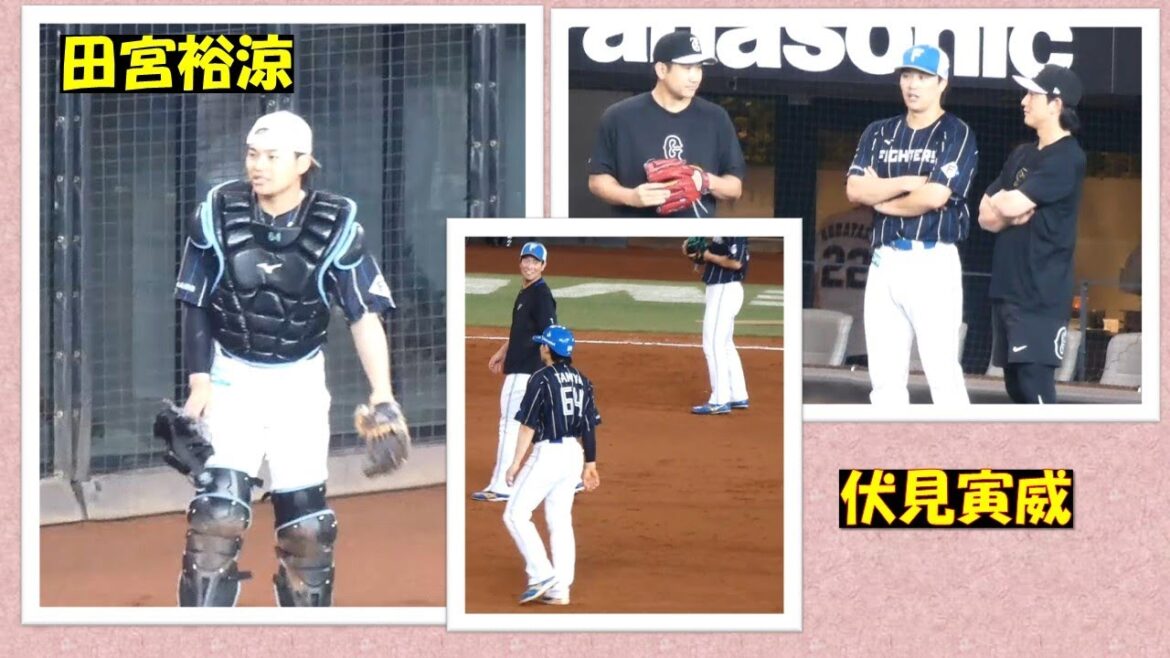【20240615】試合前練習(田宮）と伏見寅威　交流他
