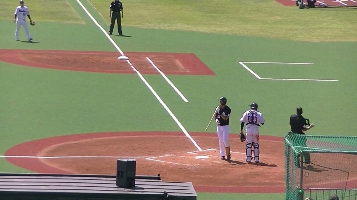 勝又琉偉を打ち取る小川泰弘【ヤクルトスワローズ対 千葉ロッテマリーンズ イースタン2024年4月19日】