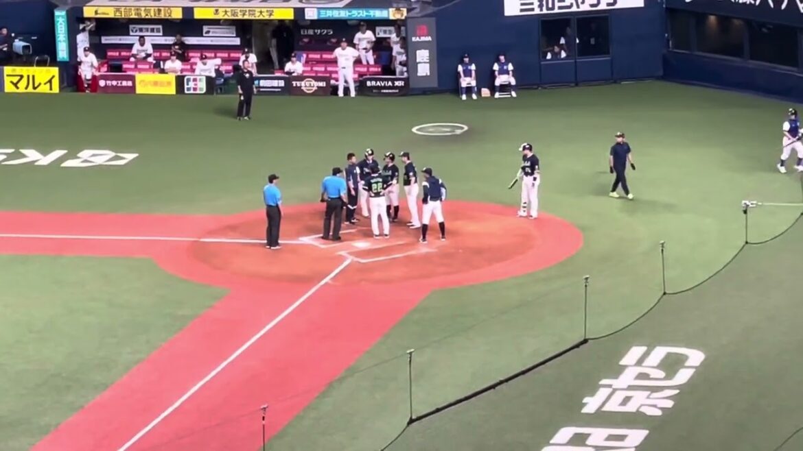 【ヤクルト】丸山和郁 頭部付近の死球で倒れ込む  (2024/06/14)