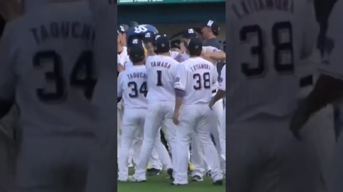 田口麗斗、今季初勝利のサイスニードを労う #東京ヤクルトスワローズ #shorts