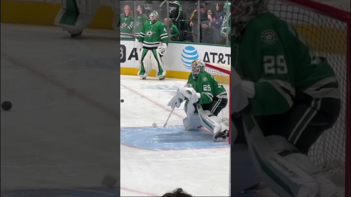 Who is making better saves? #JakeOettinger or #ScottWedgewood  #BauerGoalie #TrueGoalie #DallasStars