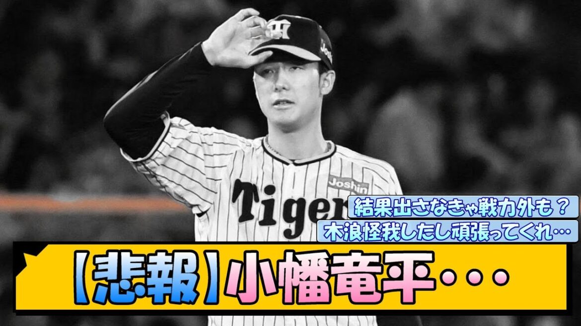 【悲報】小幡竜平・・・【なんJ/2ch/5ch/ネット 反応 まとめ/阪神タイガース/岡田監督】