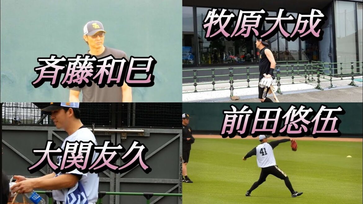 小雨の中のタマスタ筑後❗2024年6月8日#sbhawks