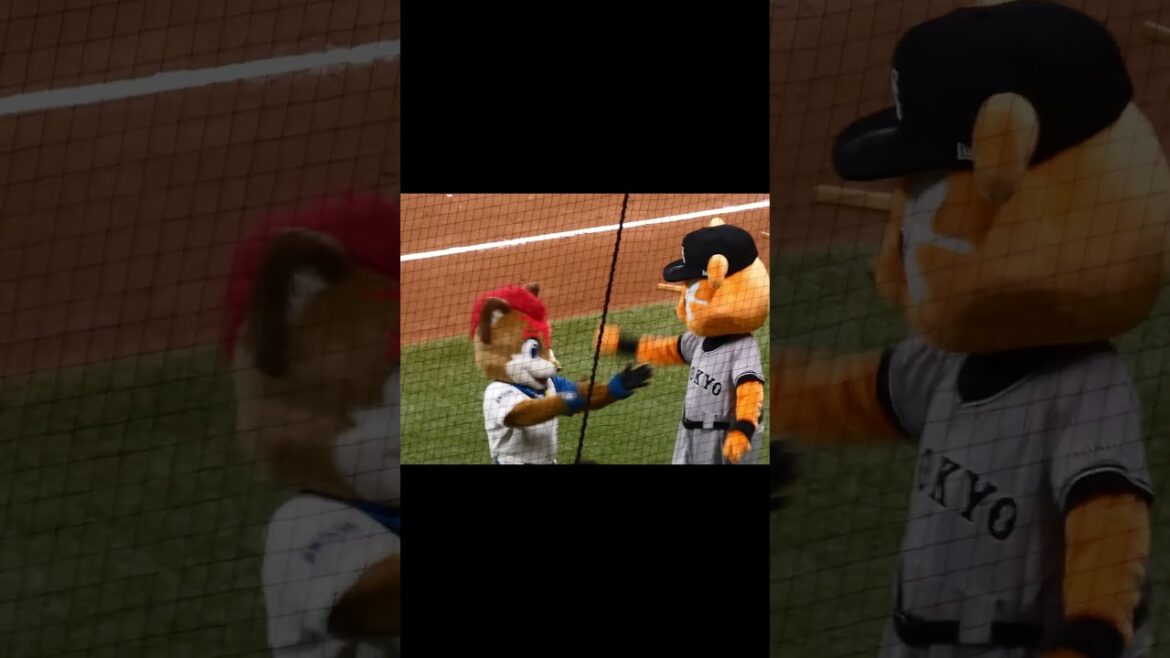 【20240614】#YMCA#エスコンフィールド＃ジャビット＃ファイターズガール＃VENUS＃読売ジャイアンツ＃ジャイアンツ