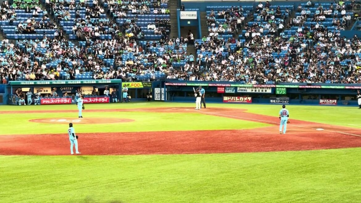 投手汎用応援歌(種市篤暉) 2024/5/29 ヤクルト vsロッテ #chibalotte