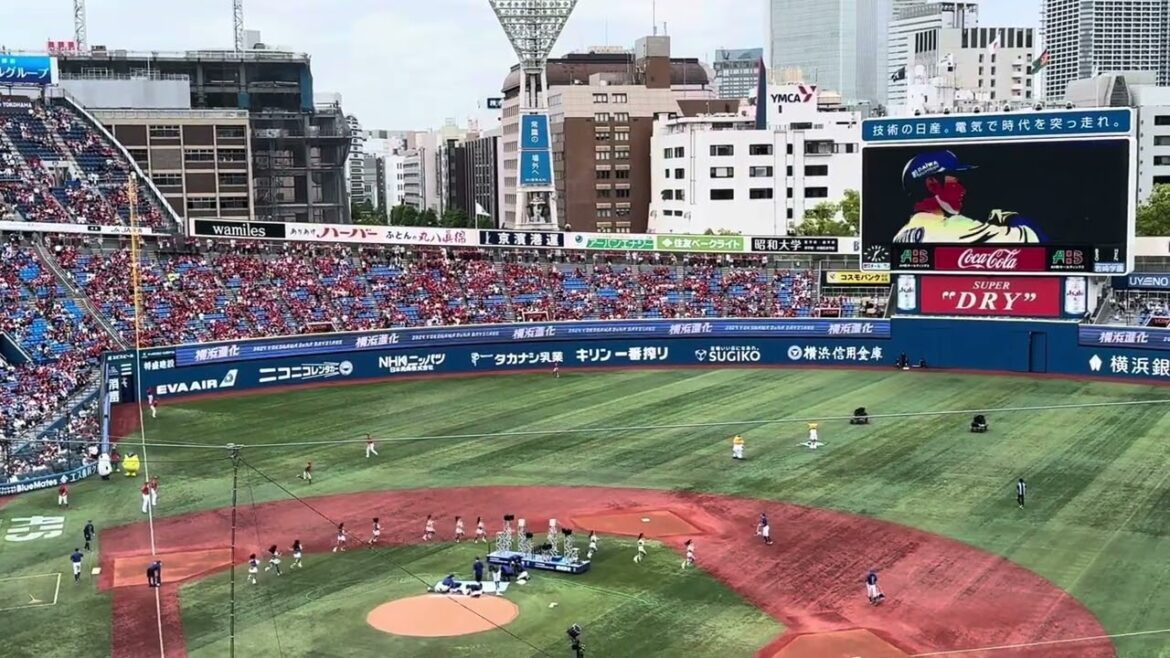 2024/05/25 横浜DeNAベイスターズ　スタメン発表