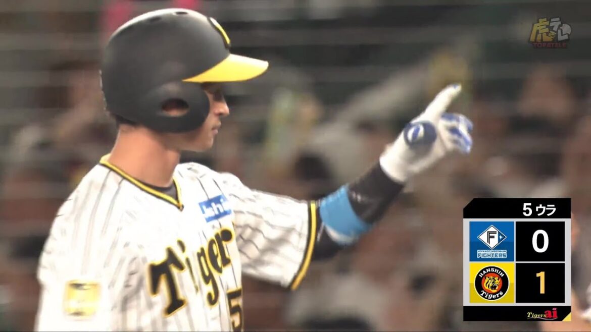 【先制】5回裏 #近本光司 選手のセンタータイムリーヒットで待望の先制点！【2024/6/18Ｔ－Ｆ】