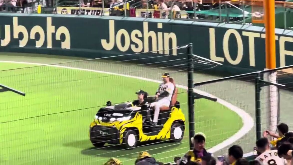 【内野グランドを踏まない気遣い】 #阪神 #漆原大晟 選手登板