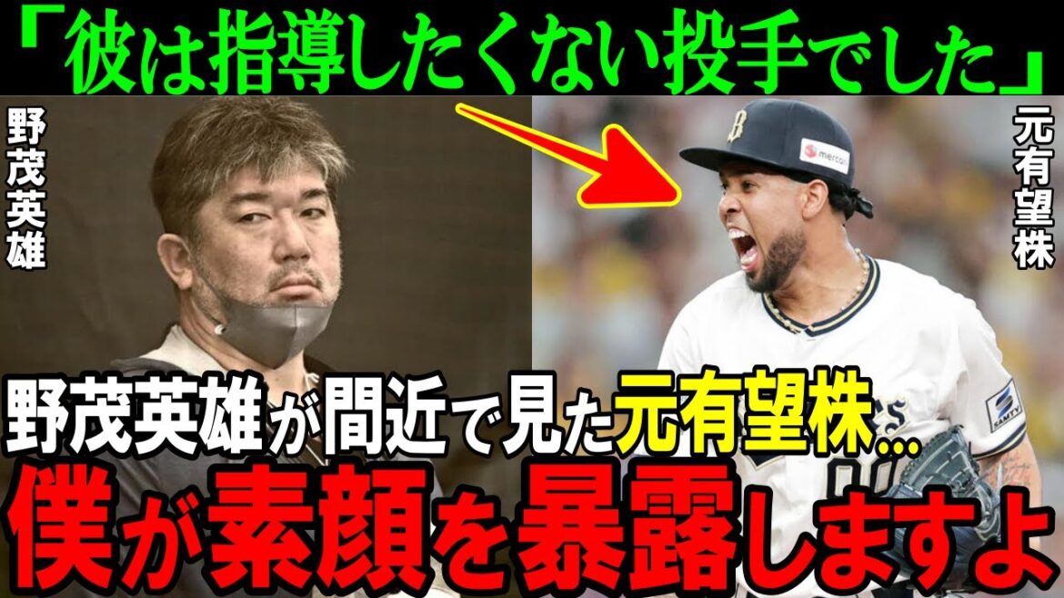 【オリックス】「僕には教えられない…」野茂英雄が語るエスピノーザの裏の顔。勝ち頭の過去がヤバかった【プロ野球/NPB】 【オリックス】「僕には教えられない...」野茂英雄が語るエスピノーザの裏の顔。勝ち頭の過去がヤバかった【プロ野球/NPB】