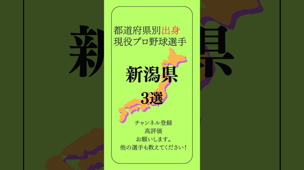 新潟県出身の現役プロ野球選手3選【戦力ランキング⑧】