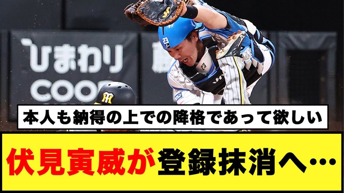 【日本ハム】伏見寅威が登録抹消へ・・・【日本ハム反応集】【ネットの反応】#日本ハムファイターズ #伏見寅威 #プロ野球