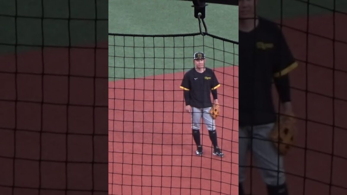 イレギュラーした打球に翻弄される糸原健斗　#shorts