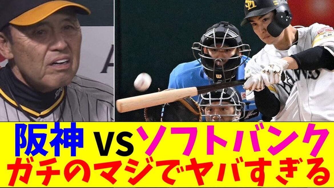 阪神対ソフトバンクの試合の見所がガチのマジでヤバすぎるとなんｊとプロ野球ファンの間で話題に【なんJ反応集】
