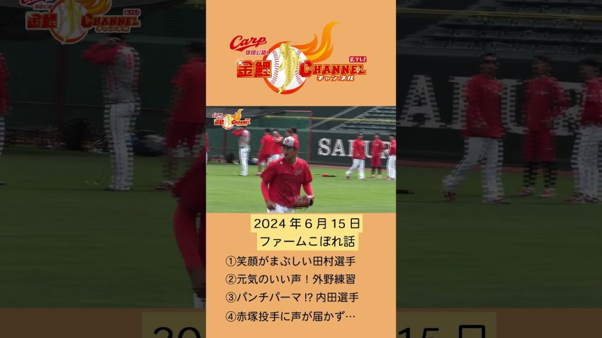 【ファームこぼれ話】本編に入れそびれたあれこれ【2024年6月15日】#shorts #広島東洋カープ #carp #田村俊介 #名原典彦 #林晃汰 #内田湘大 #赤塚健利