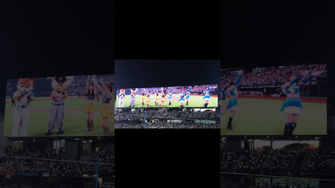 【20240615】#Whatchagonna do?＃ダンス教室#エスコンフィールド ＃ファイターズガール＃VENUS＃読売ジャイアンツ＃ジャイアンツ