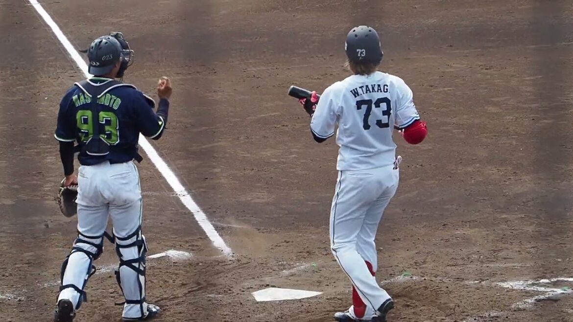 2024.06.08 埼玉西武-東京ヤクルト(カーミニーク) 高木渉 打席シーン