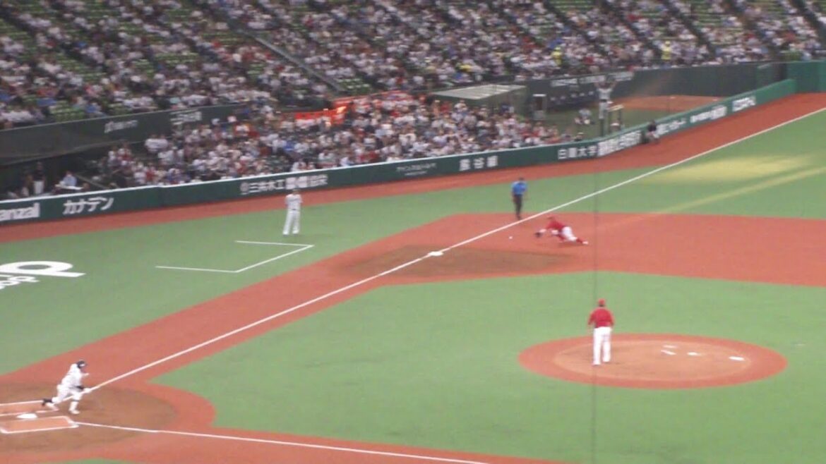 広島 小園海斗 ナイスプレー　西武 vs 広島　2024年6月11日(火) ベルーナドーム