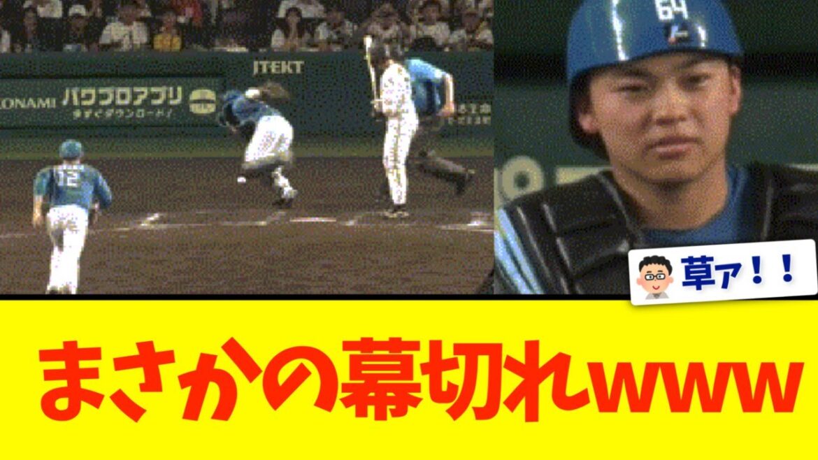 【阪神✕日本ハム】交流戦最後の最後でこれwwww