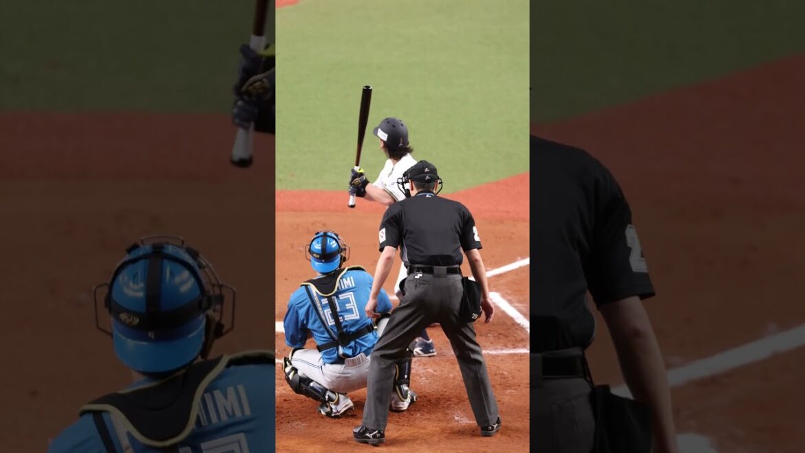 バックネット裏から4K撮影 #福田周平 #オリックスバファローズ #プロ野球 #shorts