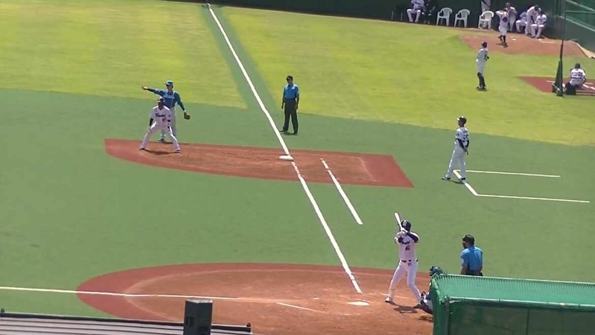 ヤクルト太田賢吾がレフトへタイムリーヒット残る（2024年6月14日 ヤクルトスワローズ対 日本ハムファイターズ）