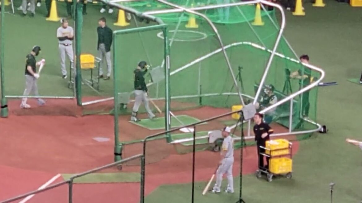 【キナチカコンビ】#阪神 #木浪聖也 選手✨#近本光司  選手フリー打撃 #京セラドーム大阪  24.6.12.