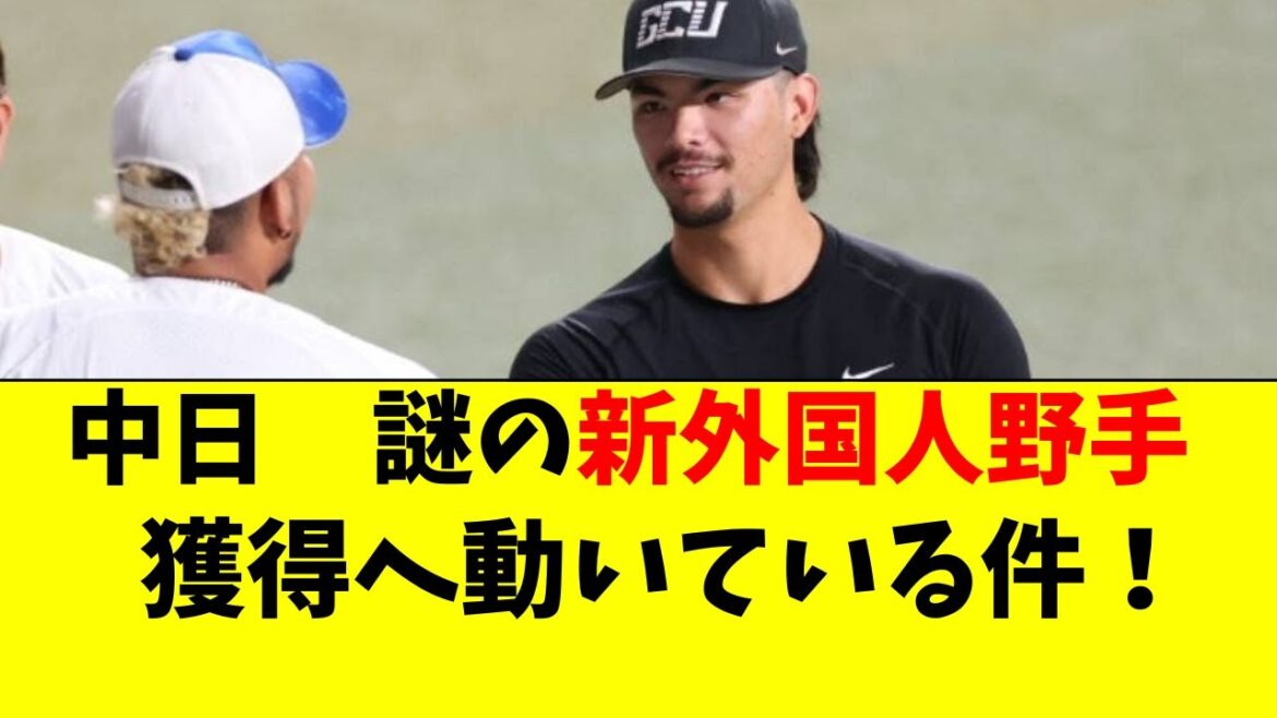 【中日】謎の新外国人野手の獲得に動いている事が判明! 【中日】謎の新外国人野手の獲得に動いている事が判明!