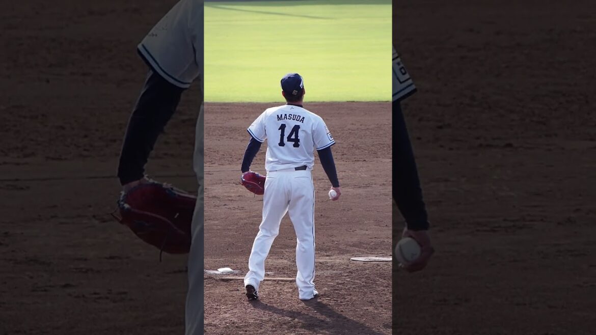 2024.06.08 埼玉西武-東京ヤクルト(カーミニーク) 増田達至 投球シーン #プロ野球 #seibulions
