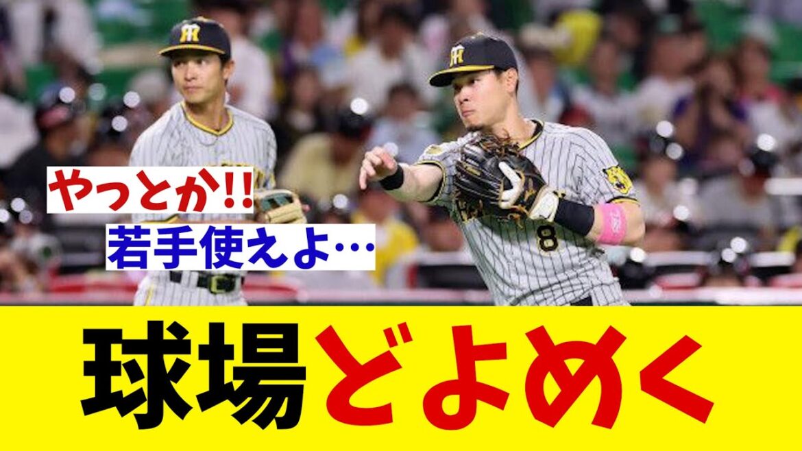 ソフトバンク対阪神　試合開始前に球場がどよめく！？【野球情報】【2ch 5ch】【なんJ なんG反応】