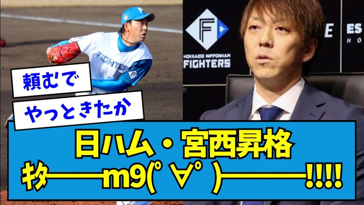 【鉄腕の帰還】日ハム・宮西尚生、昇格ｷﾀ━━m9(ﾟ∀ﾟ )━━━!!!!【なんJ反応】