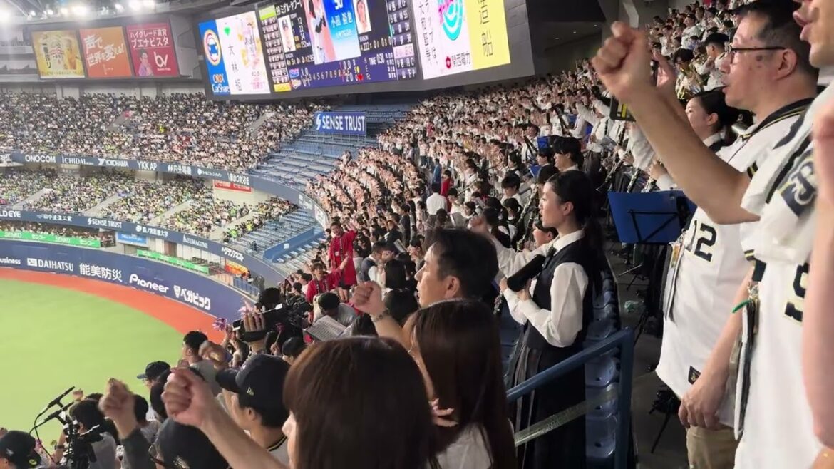 オリックス・バファローズ 小田裕也 応援歌 2024/6/16 バファローズ高校 大阪桐蔭