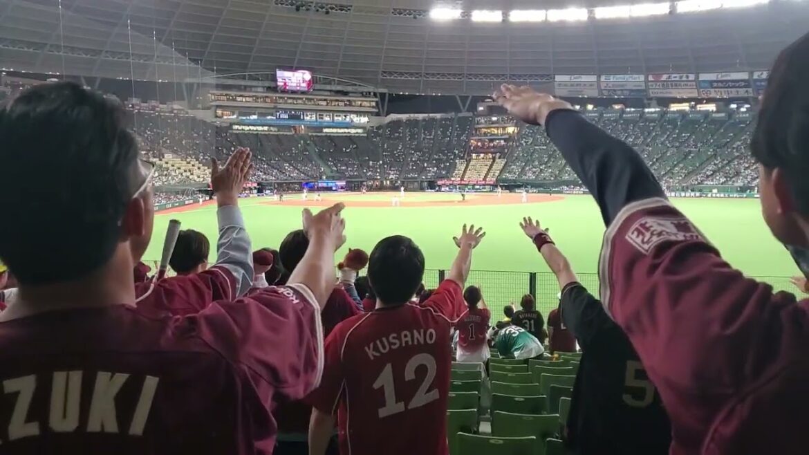 20240510　｢大地ｺｰﾙ｣で鈴木大地選手を後押し！　5回表　東北楽天ｺﾞｰﾙﾃﾞﾝｲｰｸﾞﾙｽの応援@ﾍﾞﾙｰﾅﾄﾞｰﾑ･外野ﾗｲﾄ 西武ﾄﾞｰﾑ