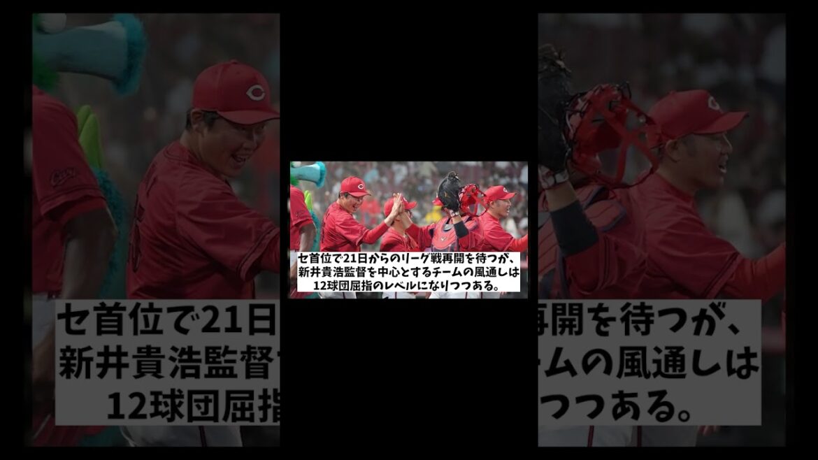 広島カープ　大瀬良ノーノーの日に起きた矢野の逆ギレ事件・・・wwwww【野球情報】【2ch 5ch】【なんJ なんG反応】