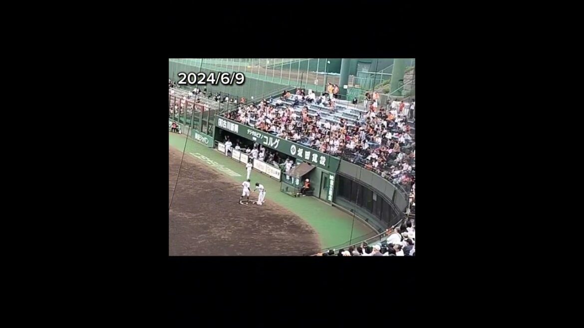 【2024/6/9】ファイターズ福田俊対ジャイアンツ湯浅大 押し出しデッドボール 織田が痛い😰 #shorts #プロ野球 #巨人 #日本ハム #giants  #fighters