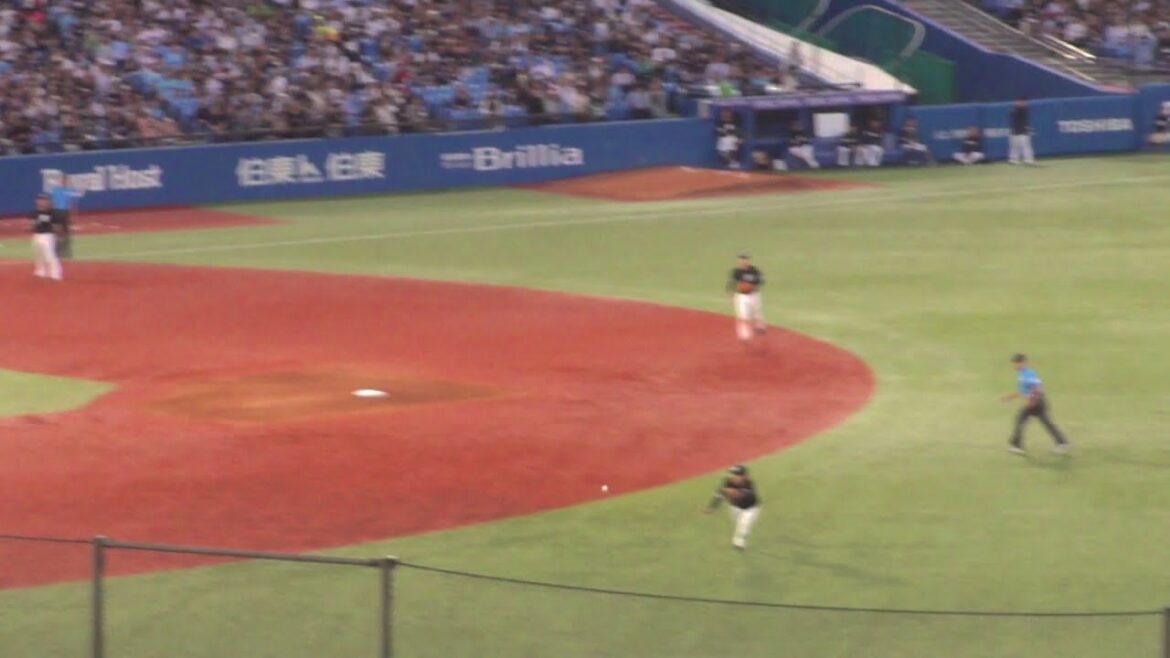 ロッテ 小川龍成 ナイスプレー　ヤクルト vs ロッテ　2024年5月29日(水)