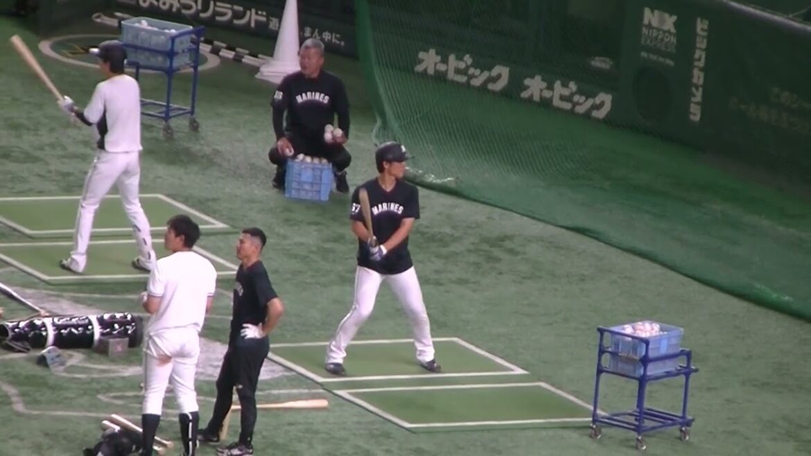 【トスバッティング】ロッテ 茶谷健太のスイング（2024年6月6日 読売ジャイアンツ対 千葉ロッテマリーンズ）